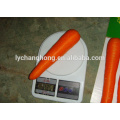 2014 New Fresh Carrot 200g up wiht 10kg/ctn